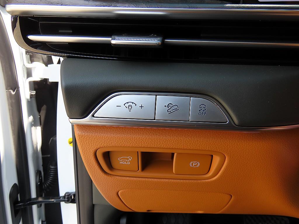 Genesis GV80 - Vista 12