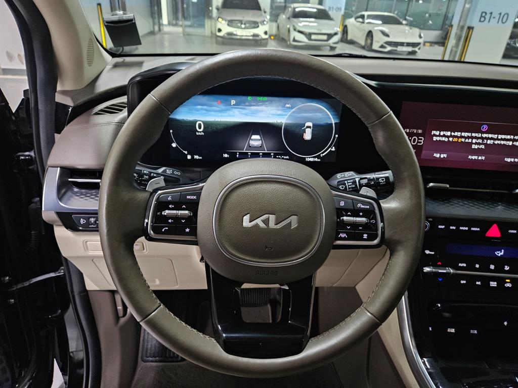KIA Carnival - Vista 12
