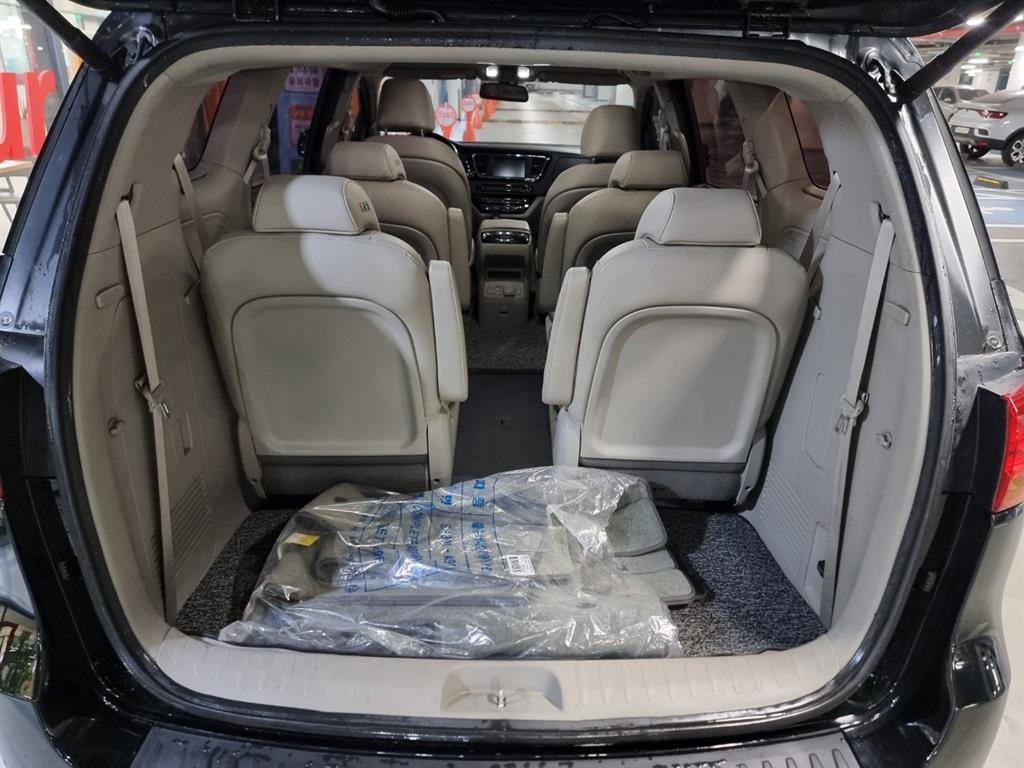 KIA Carnival - Vista 4