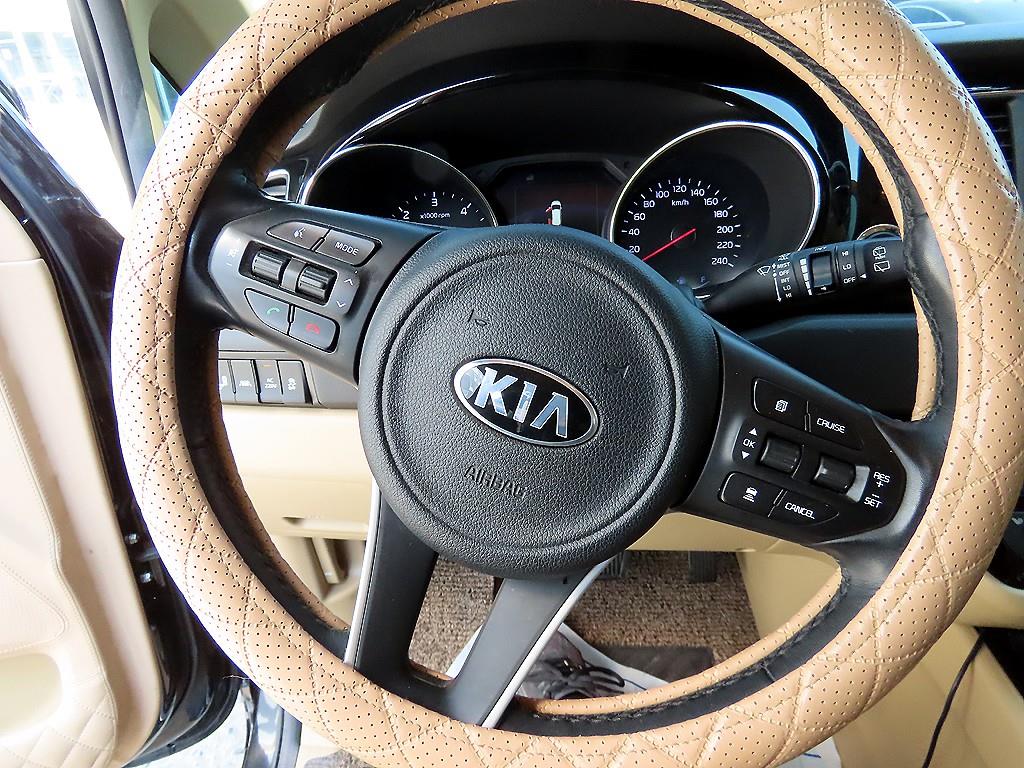 KIA Carnival - Vista 9