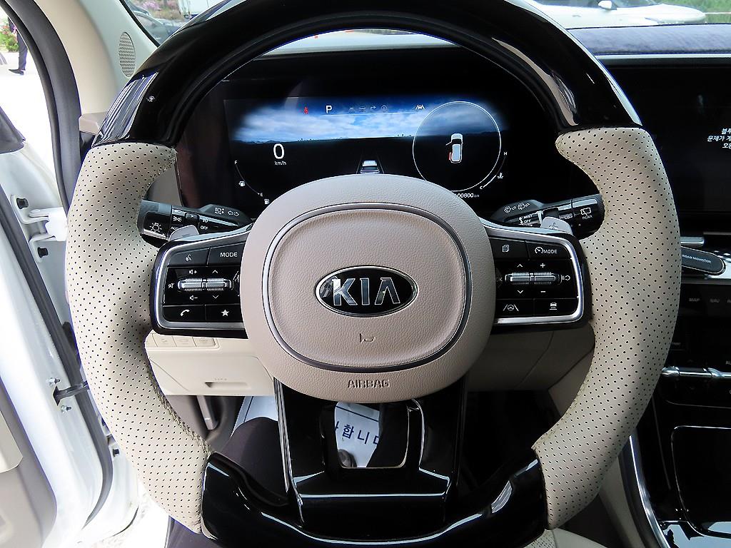 KIA Carnival - Vista 9
