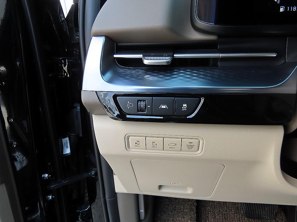 KIA Carnival - Vista 12