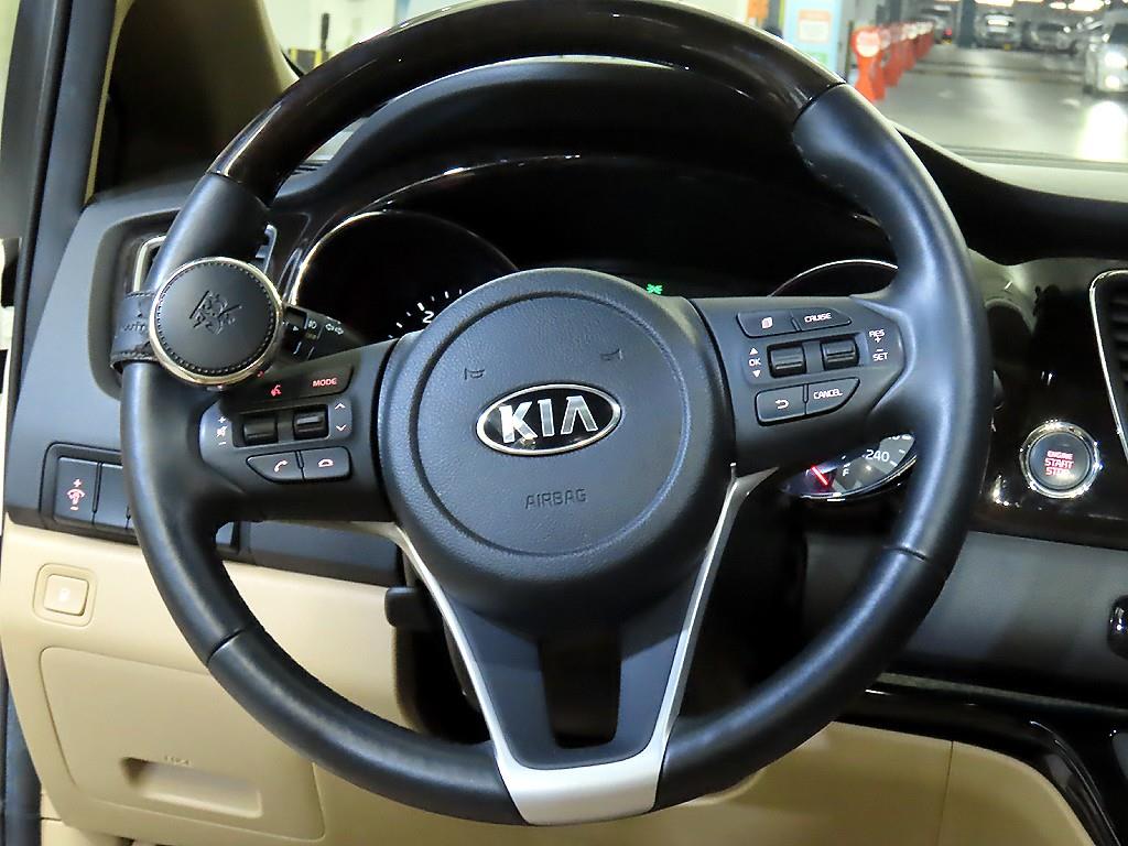 KIA Carnival - Vista 8