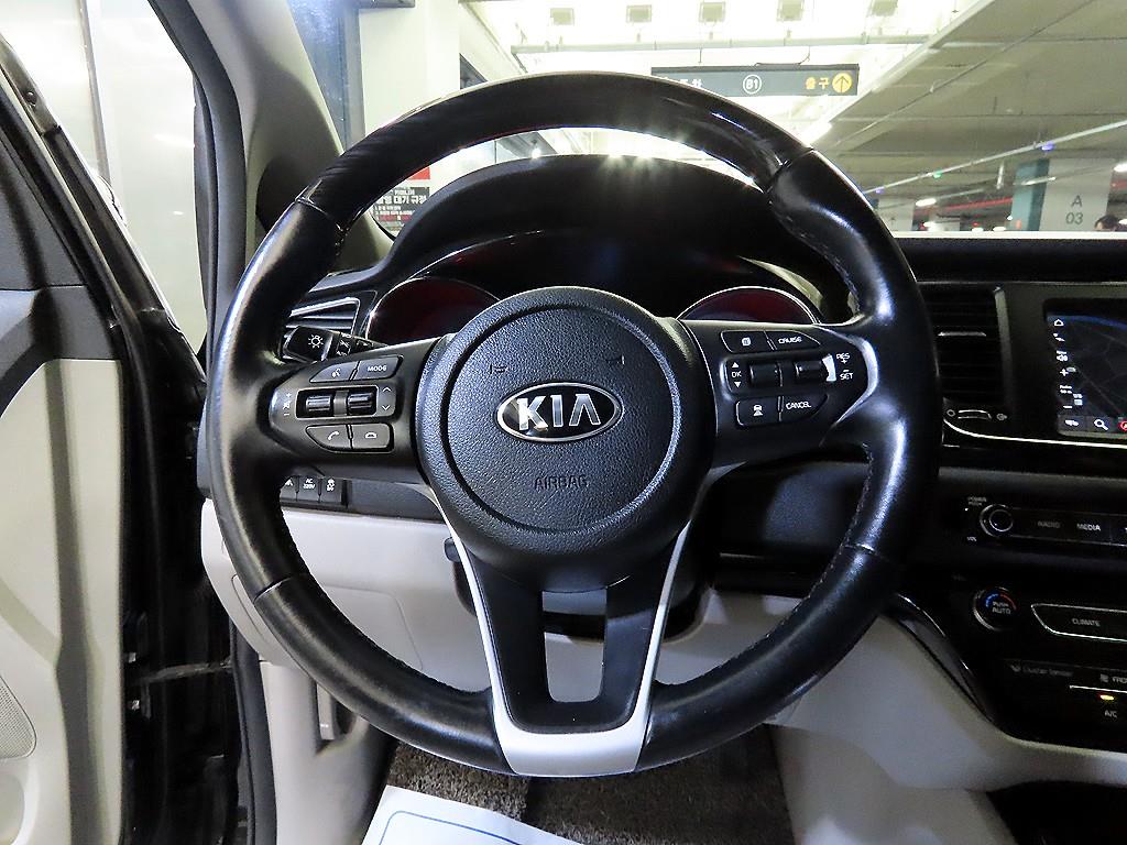 KIA Carnival - Vista 8