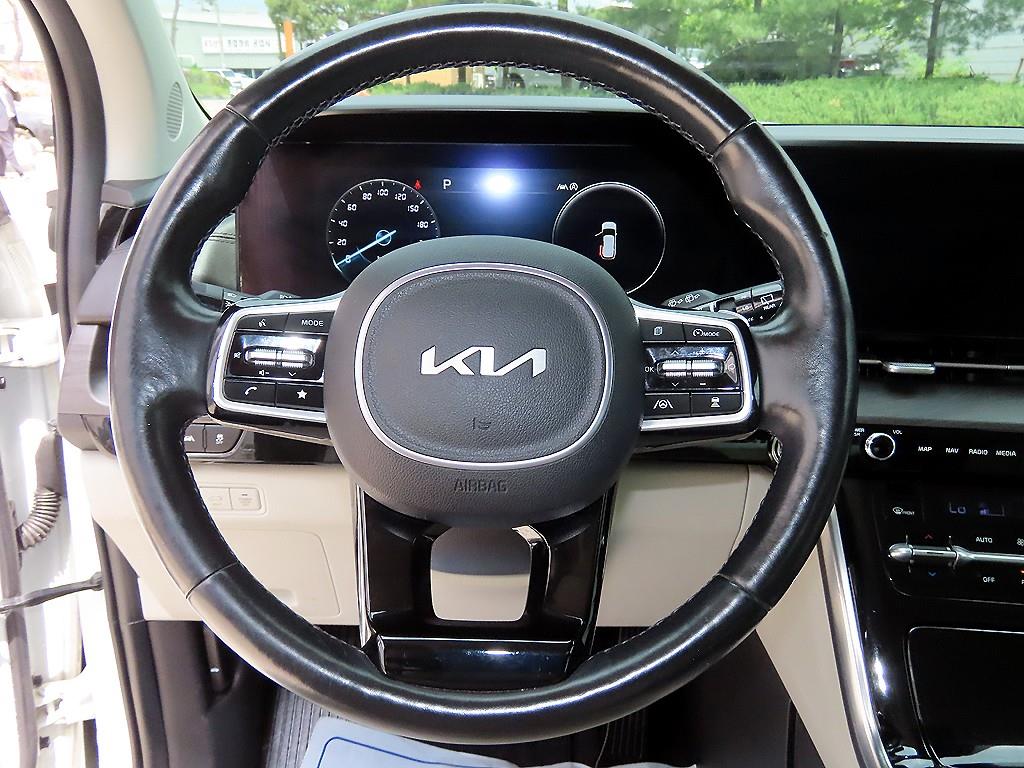 KIA Carnival - Vista 8