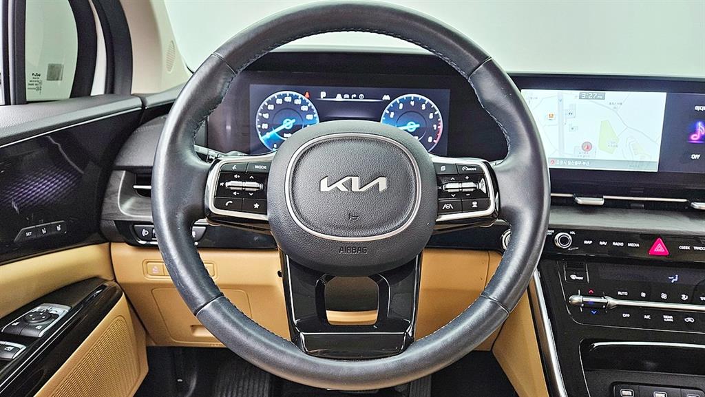 KIA Carnival - Vista 12