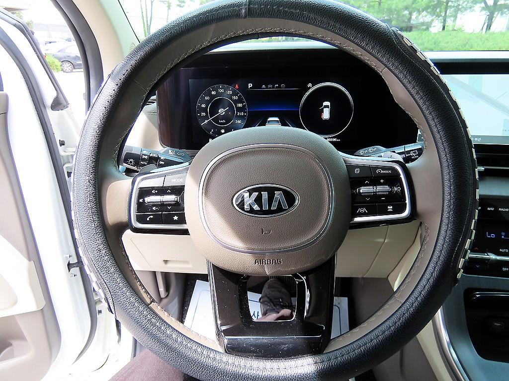 KIA Carnival - Vista 9