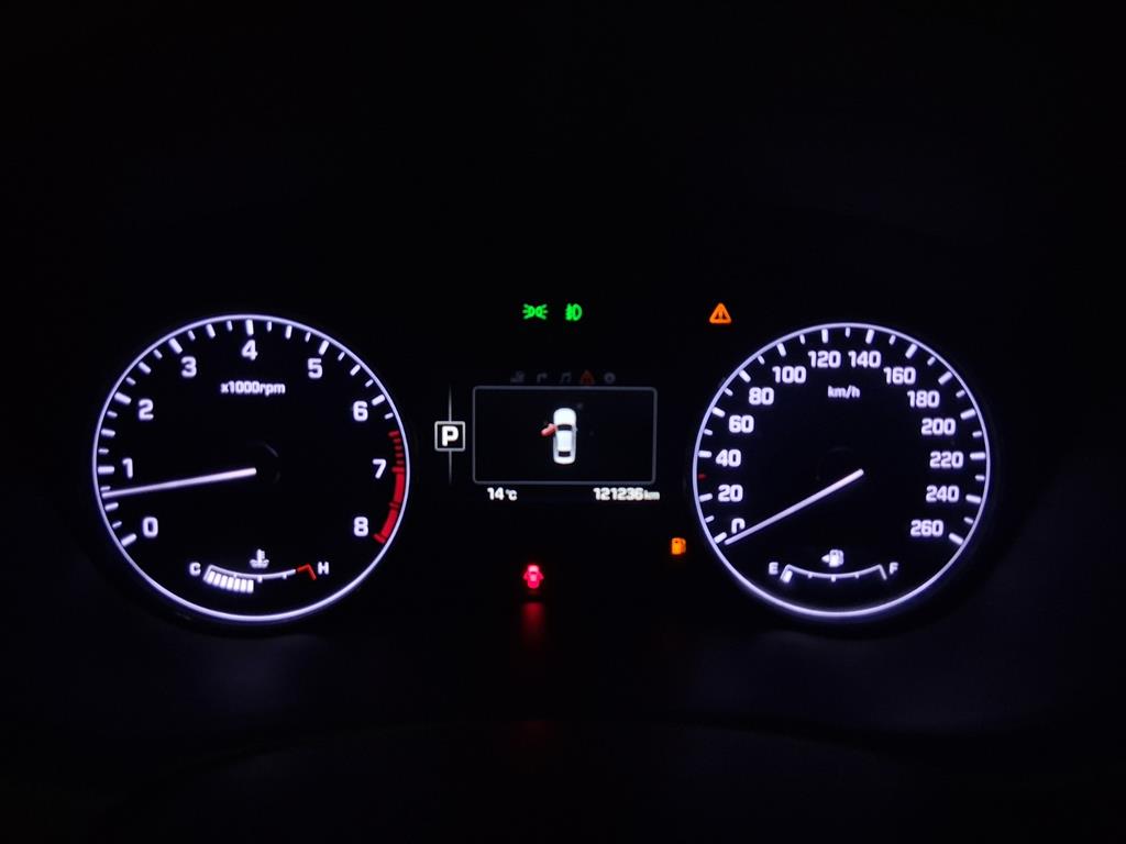 HYUNDAI Genesis - Vista 12