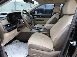 KIA Carnival - Vista 12