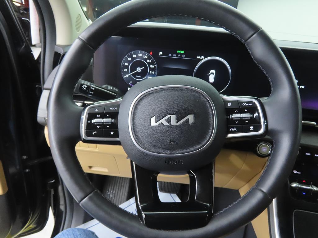 KIA Carnival - Vista 8
