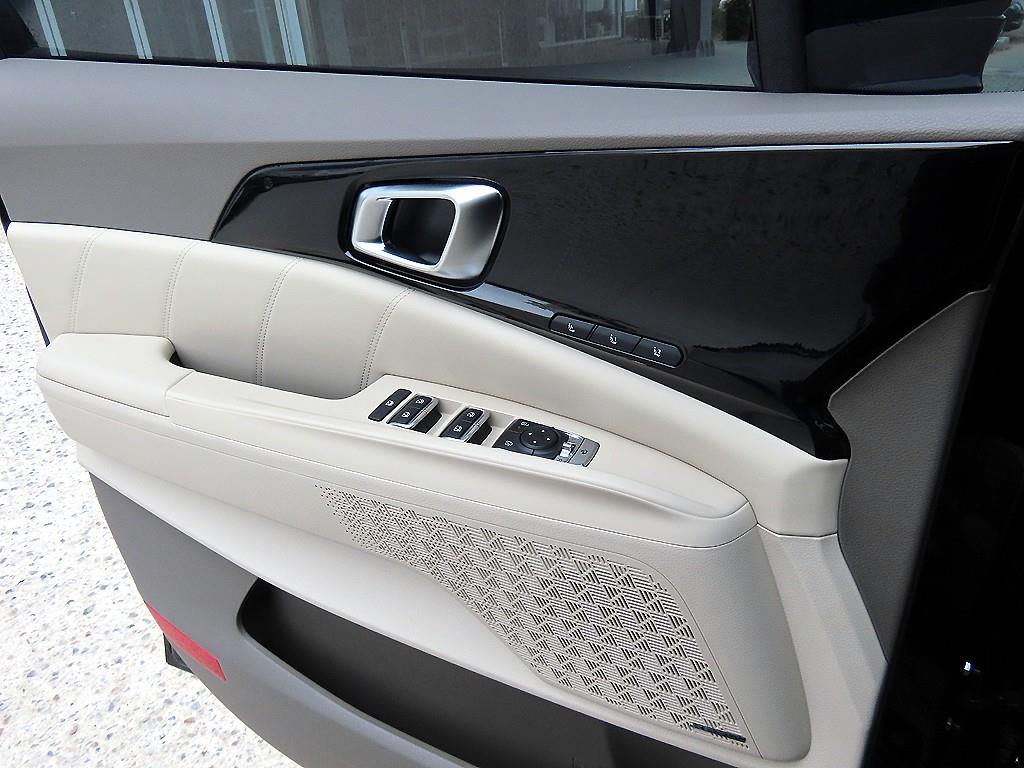 KIA Carnival - Vista 12
