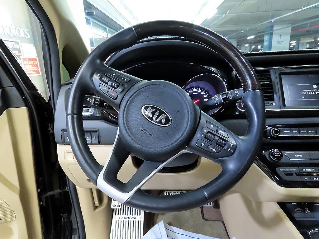 KIA Carnival - Vista 8