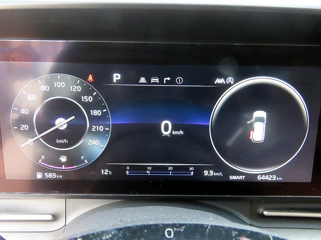 KIA Carnival - Vista 9