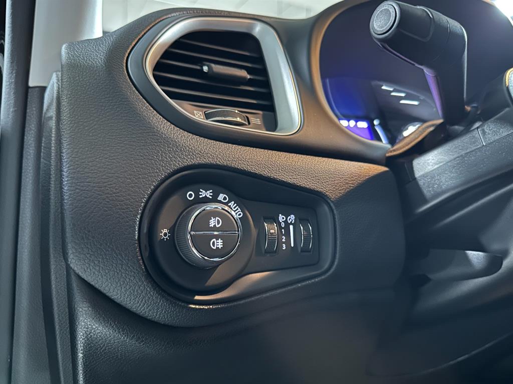 Jeep Renegade - Vista 12
