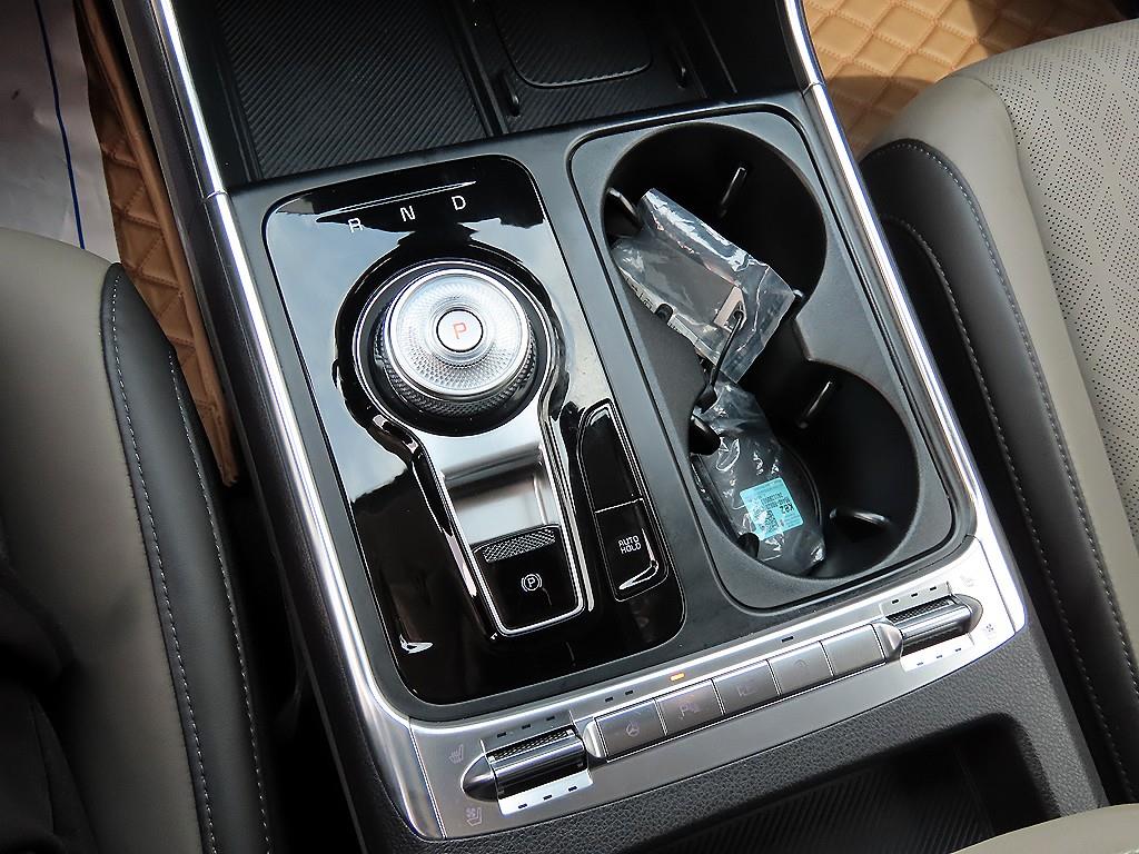 KIA Carnival - Vista 12