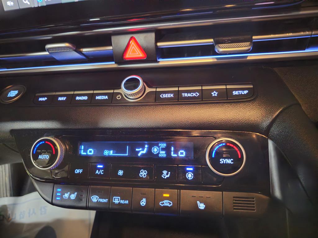 HYUNDAI Avante - Vista 12