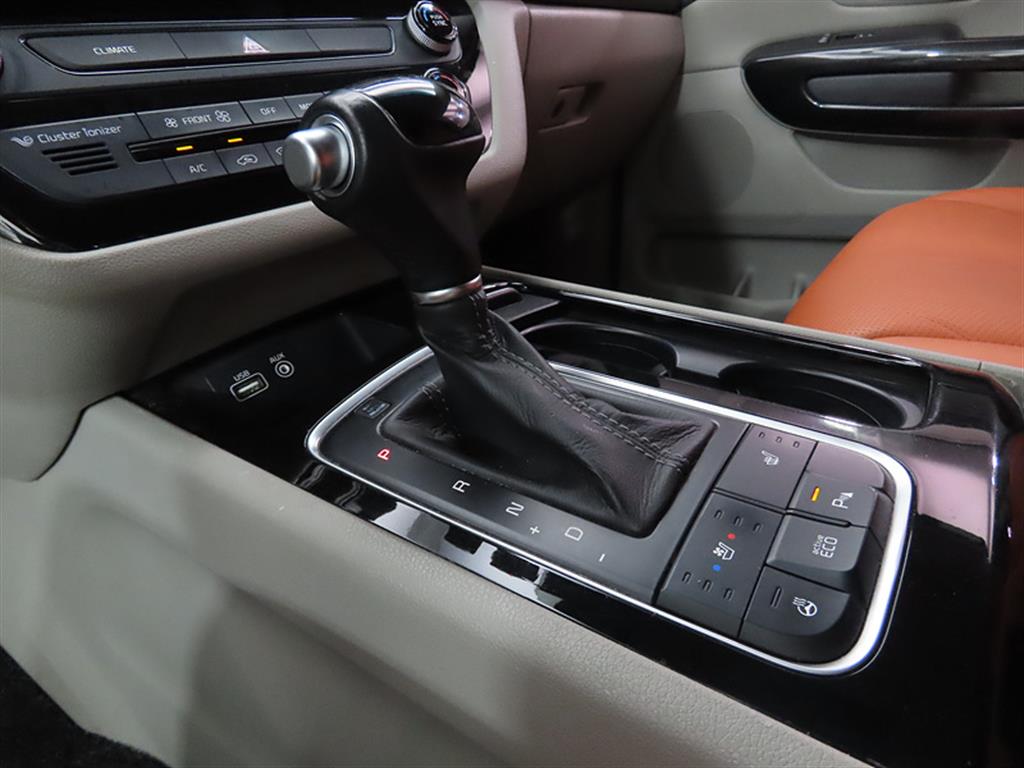 KIA Carnival - Vista 9