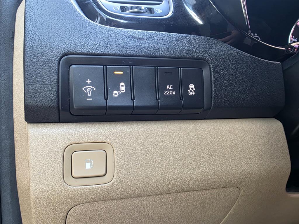 KIA Carnival - Vista 12