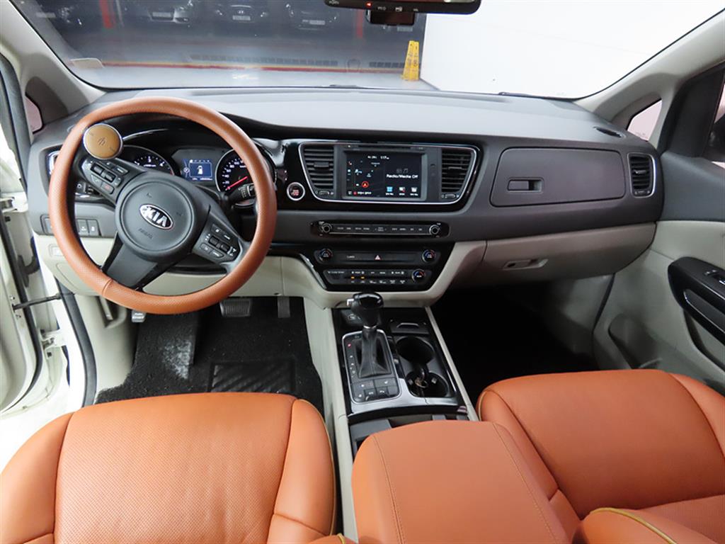 KIA Carnival - Vista 7