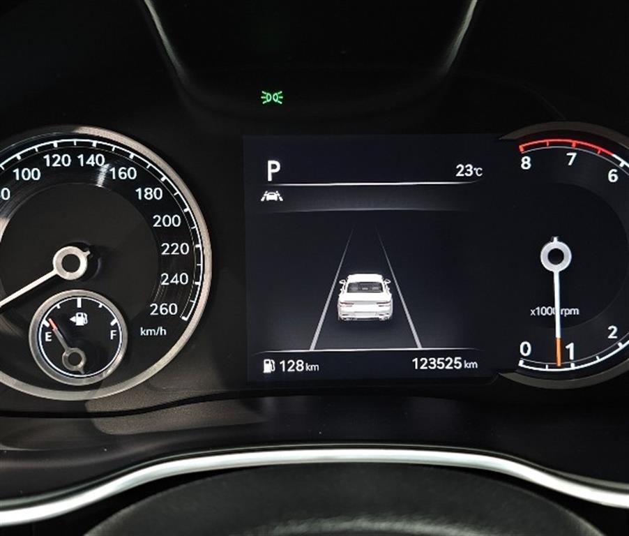Genesis G80 - Vista 8