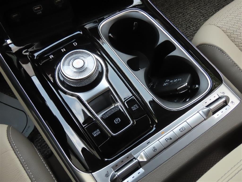 KIA Carnival - Vista 11