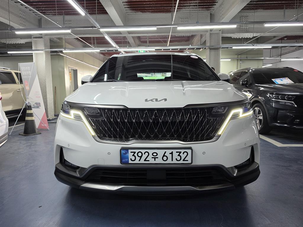 KIA Carnival - Vista 3