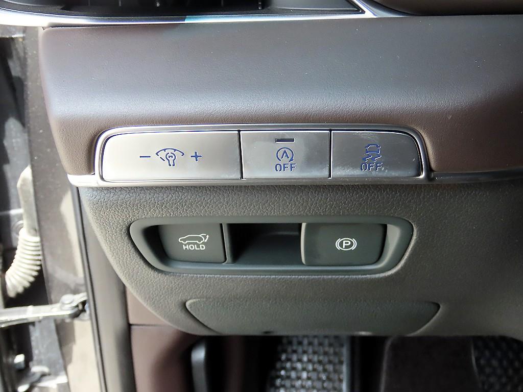 Genesis GV80 - Vista 12