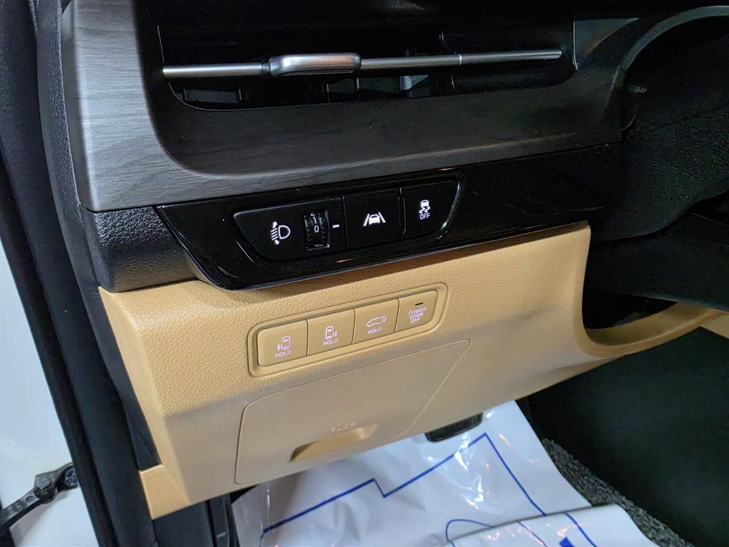 KIA Carnival - Vista 9