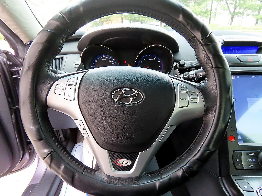 HYUNDAI Genesis - Vista 8