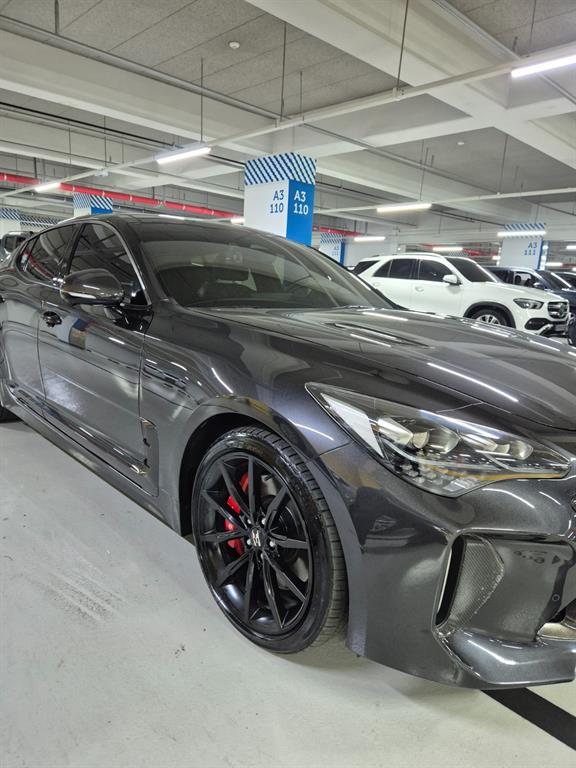 KIA Stinger - Vista 8