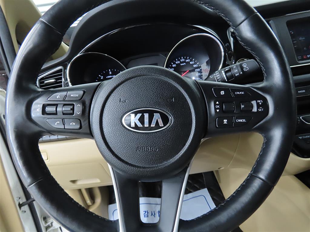 KIA Carnival - Vista 8