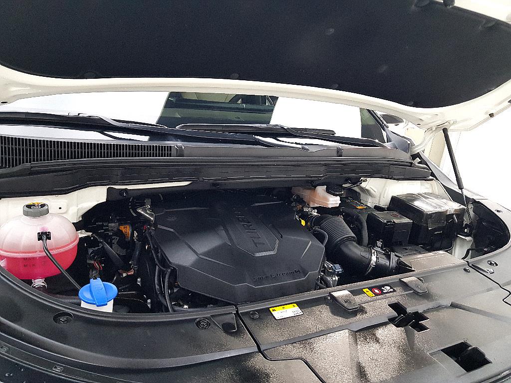 KIA Carnival - Vista 6