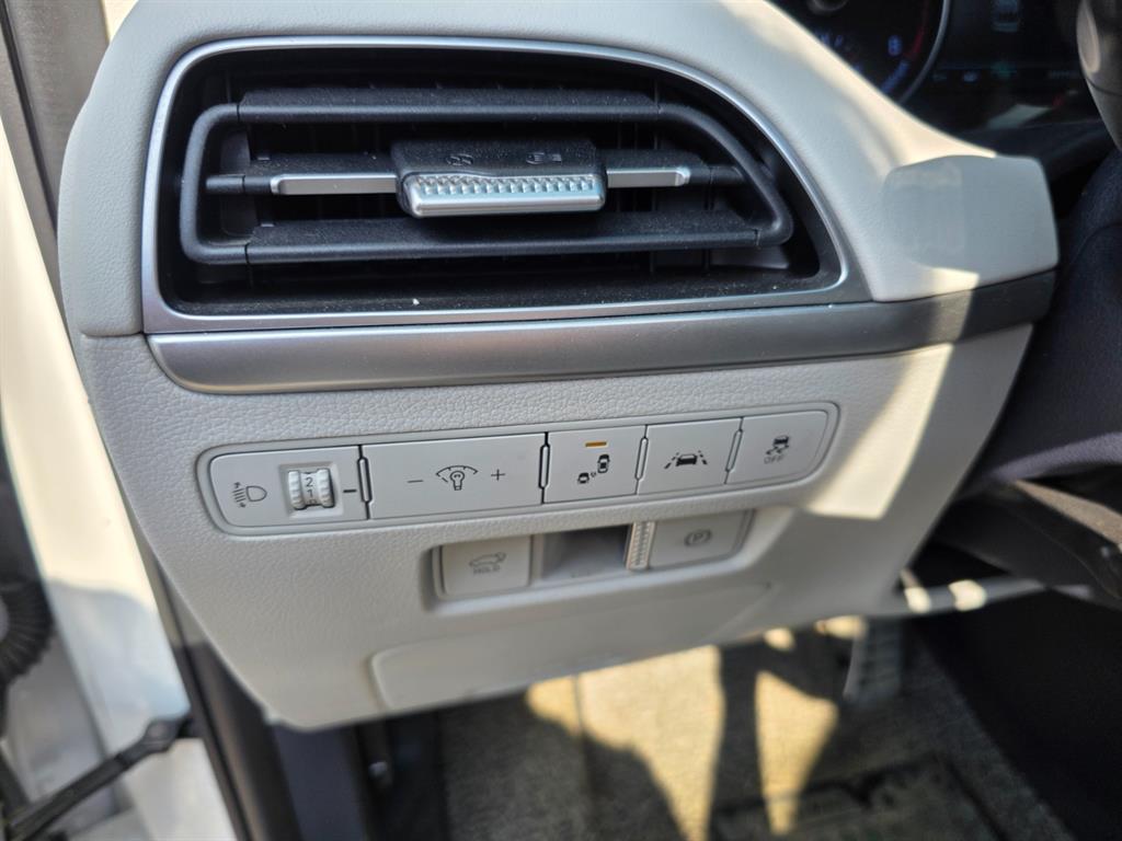 HYUNDAI Palisade - Vista 10