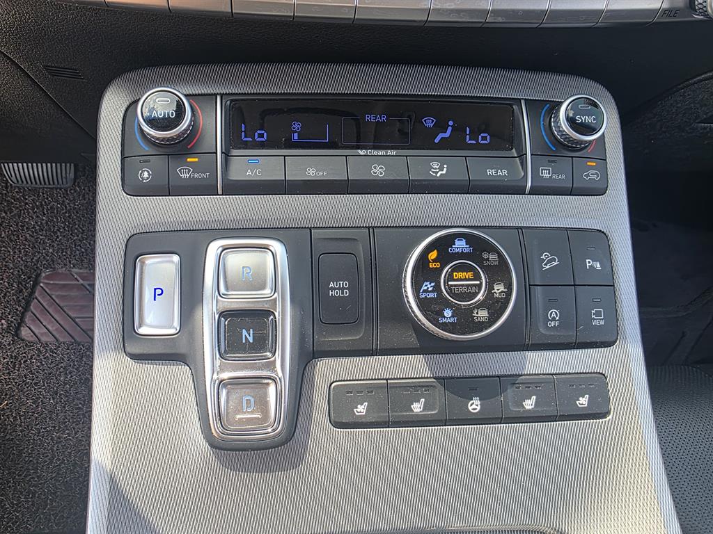 HYUNDAI Palisade - Vista 6