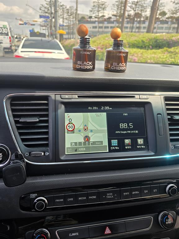 KIA Carnival - Vista 3