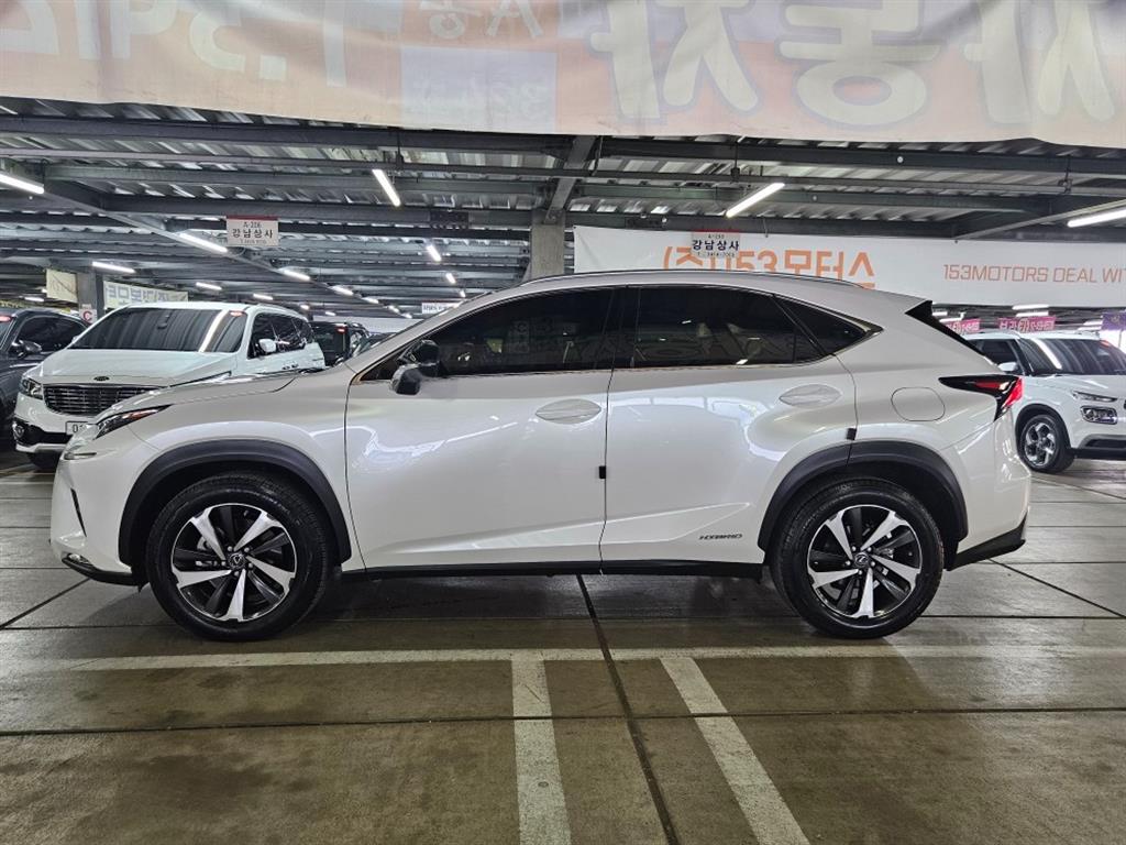 Lexus NX - Vista 3
