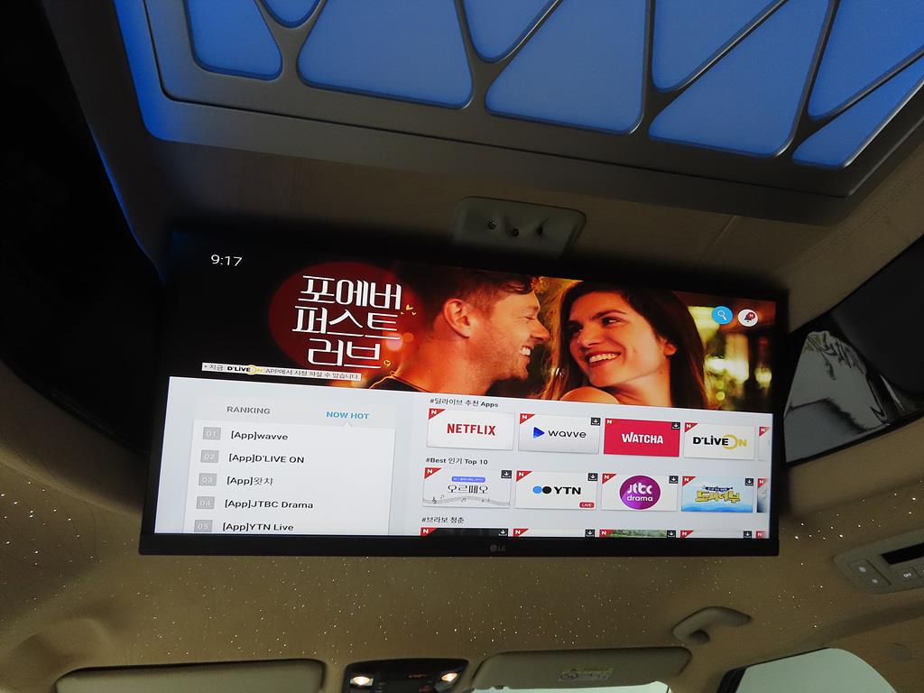 KIA Carnival - Vista 12