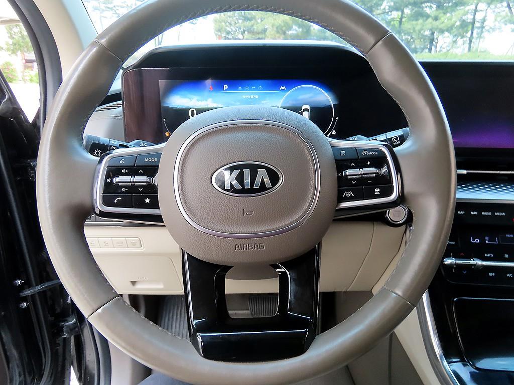 KIA Carnival - Vista 8