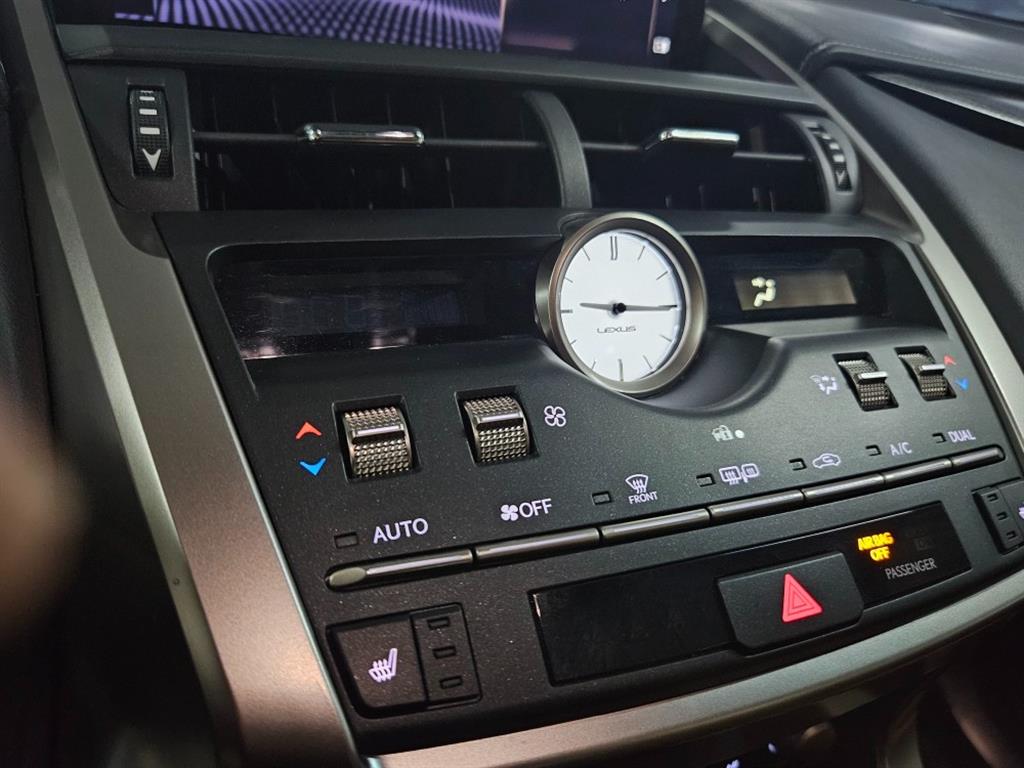 Lexus NX - Vista 10