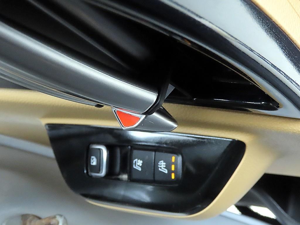 KIA Carnival - Vista 12