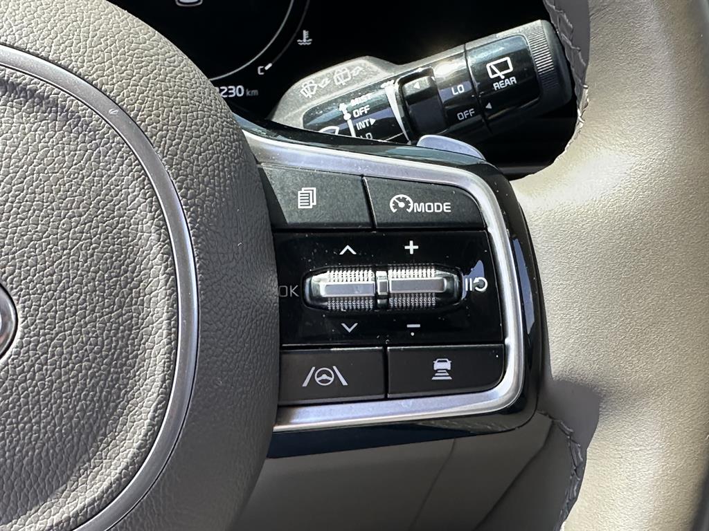 KIA Carnival - Vista 9