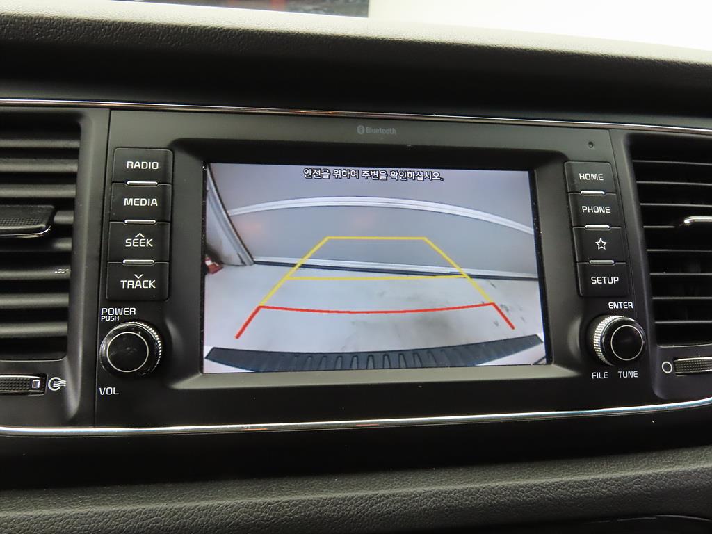 KIA Carnival - Vista 12