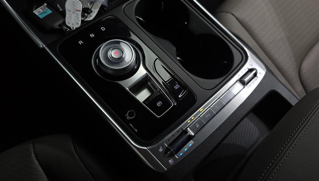 KIA Carnival - Vista 12