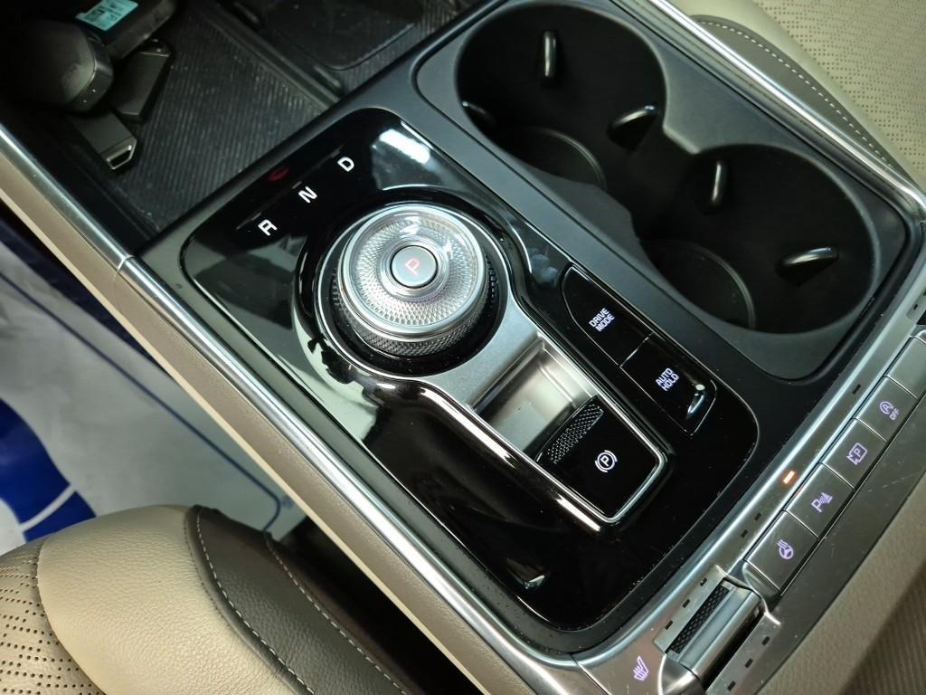 KIA Carnival - Vista 8