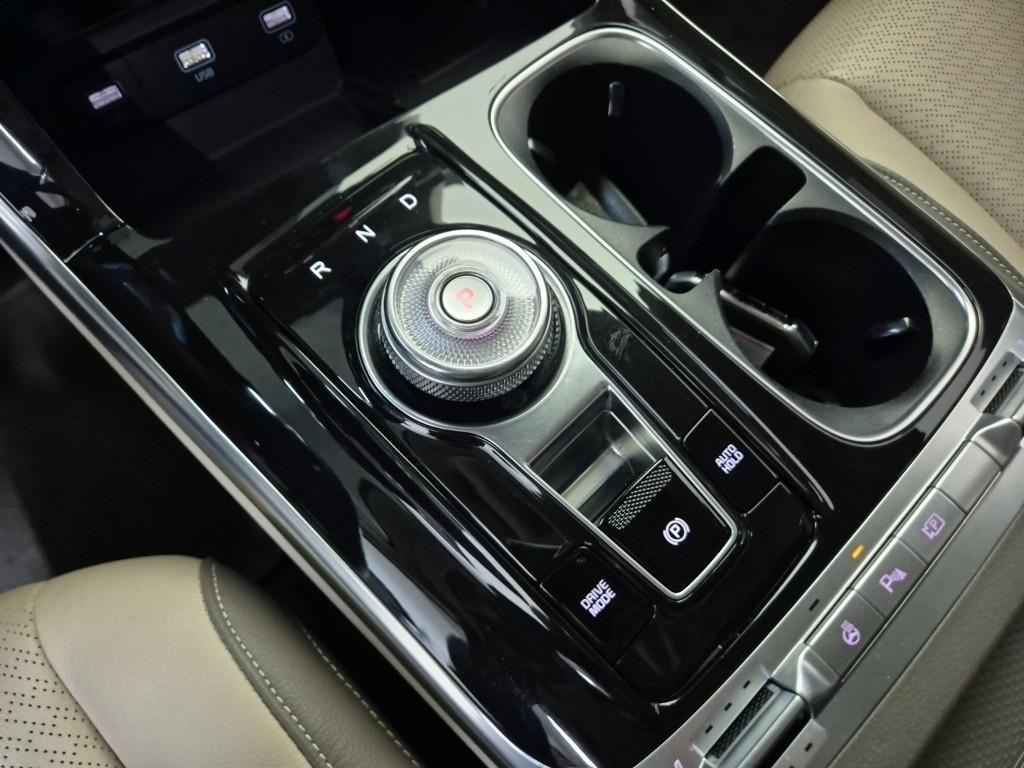 KIA Carnival - Vista 8