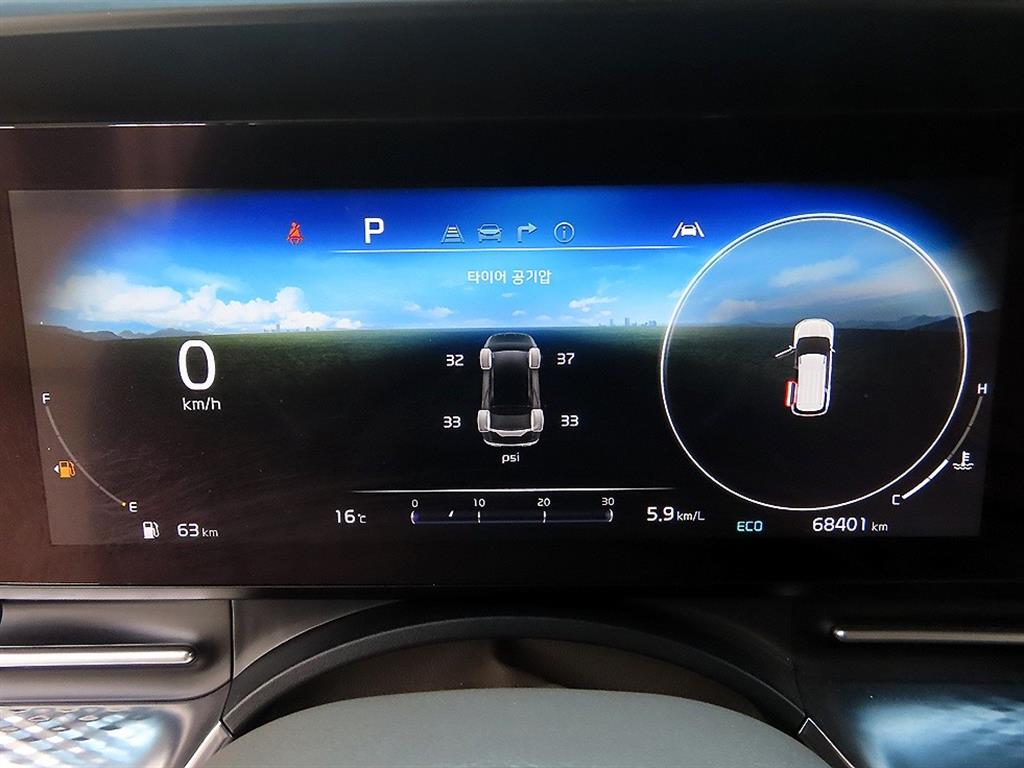 KIA Carnival - Vista 9