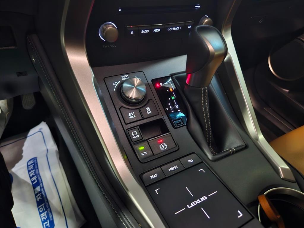 Lexus NX - Vista 11