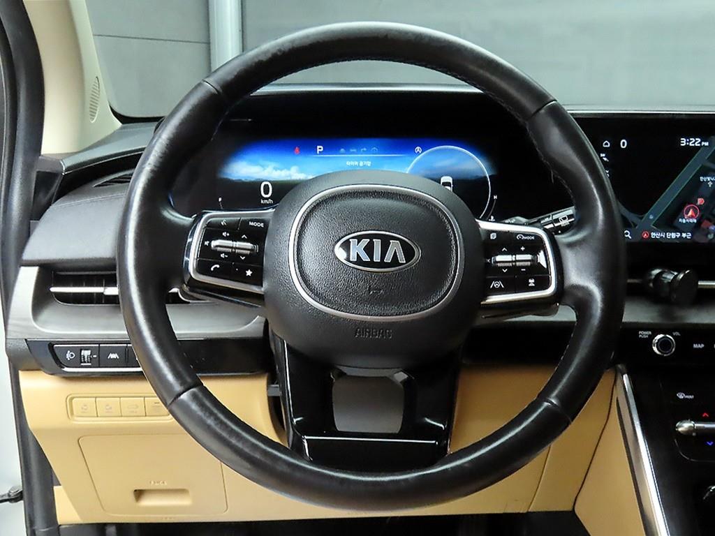 KIA Carnival - Vista 9