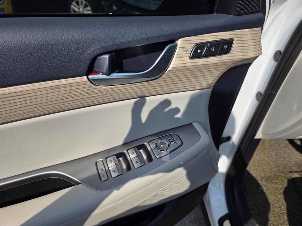 HYUNDAI Palisade - Vista 9