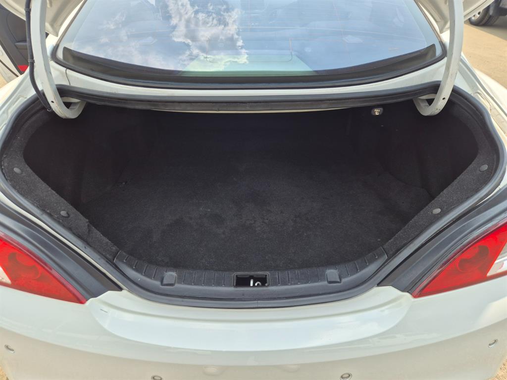HYUNDAI Genesis - Vista 12
